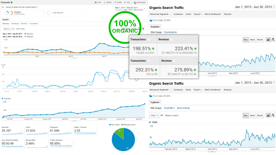 Organic SEO Results